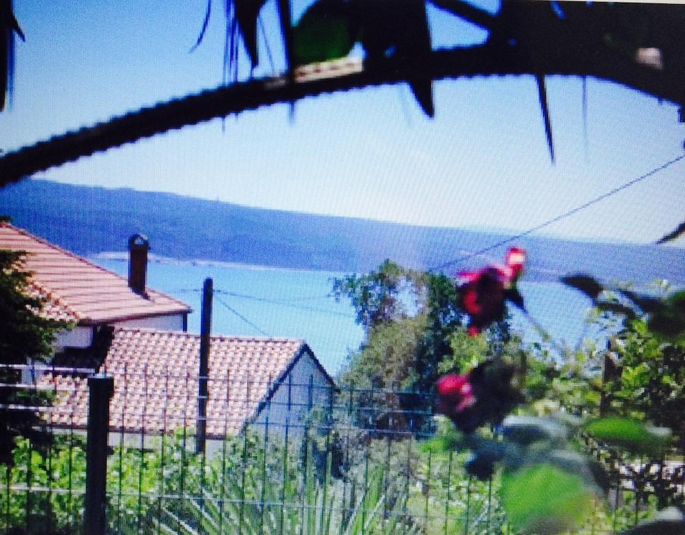 Guesthouse Villa Juric ツリクヴェニツァ 部屋 写真