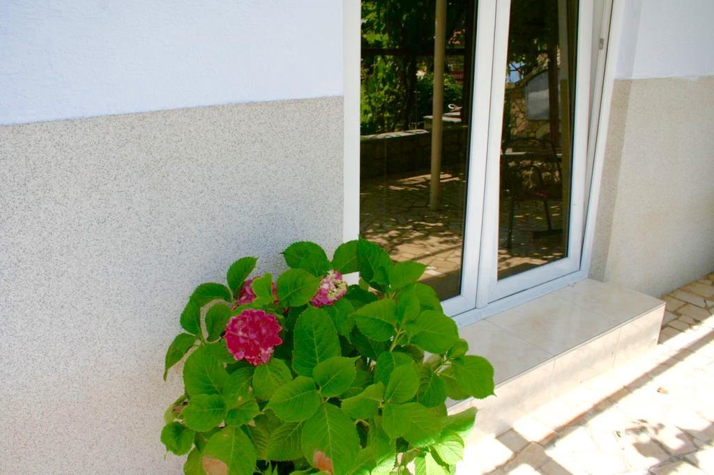 Guesthouse Villa Juric ツリクヴェニツァ エクステリア 写真