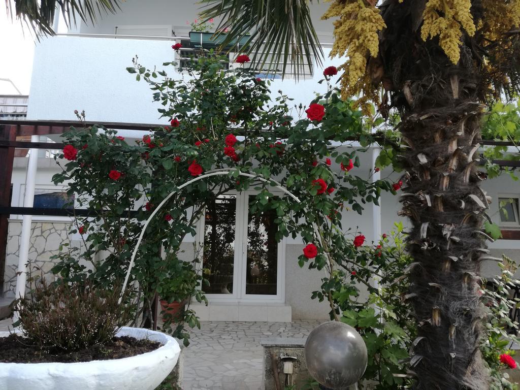 Guesthouse Villa Juric ツリクヴェニツァ エクステリア 写真